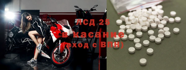 спайс Алзамай